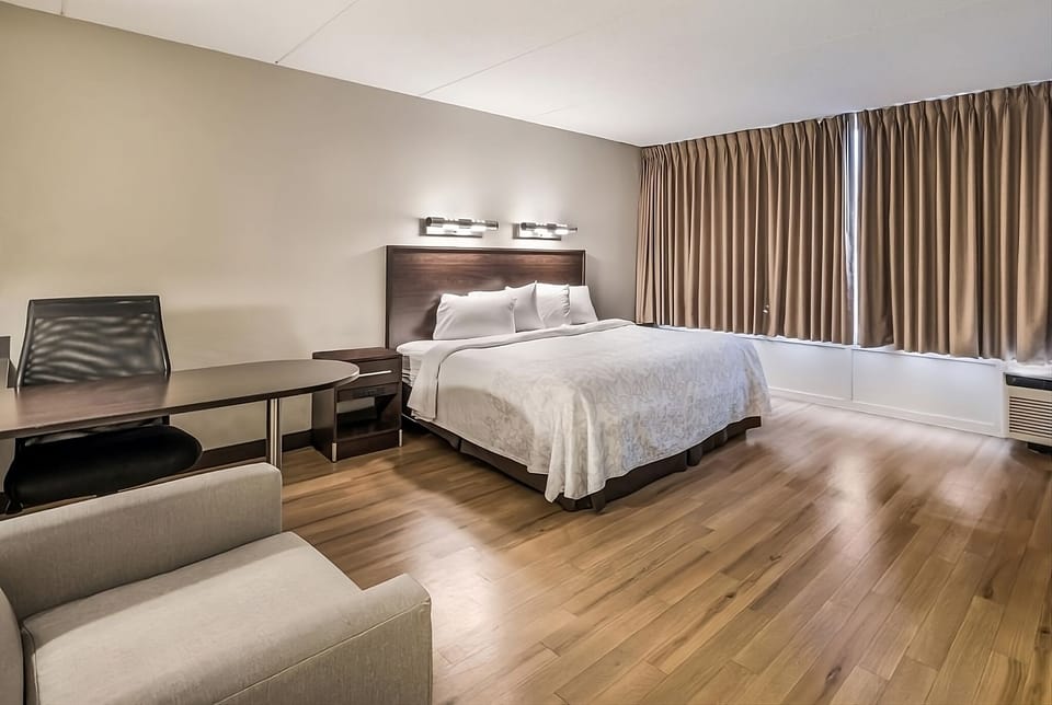 Unwind in a spacious room with cozy king comfort.