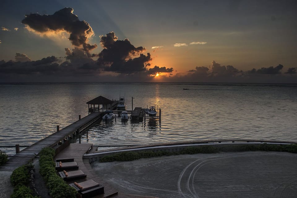 One of the docs at sunrise