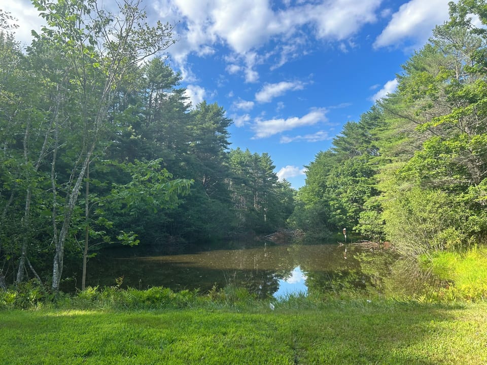 Pond view from in front of screen porch