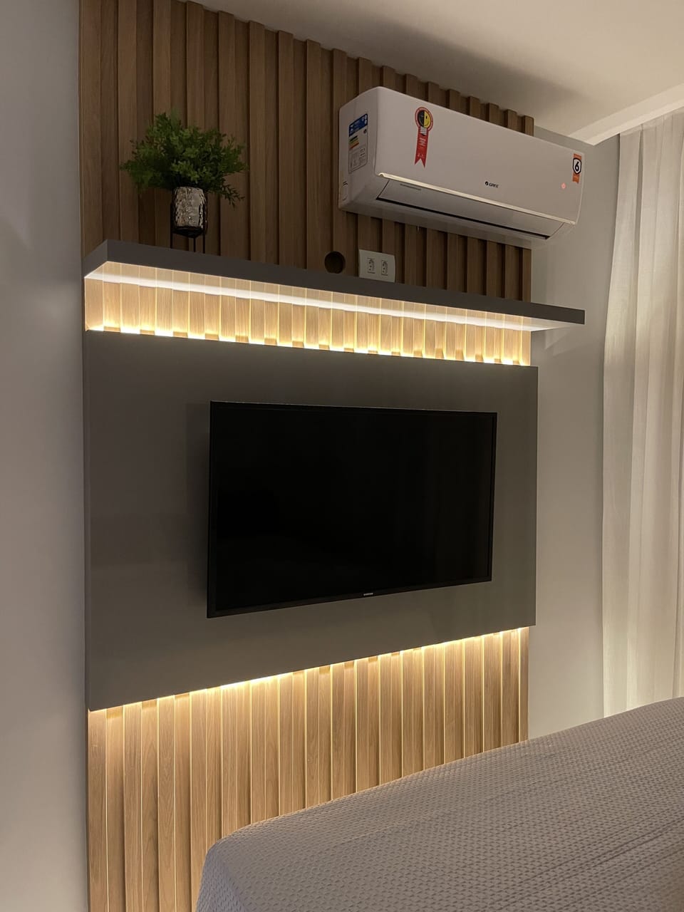 Television
