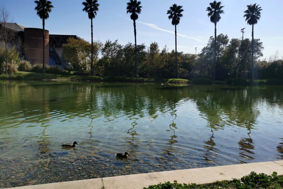 Lake