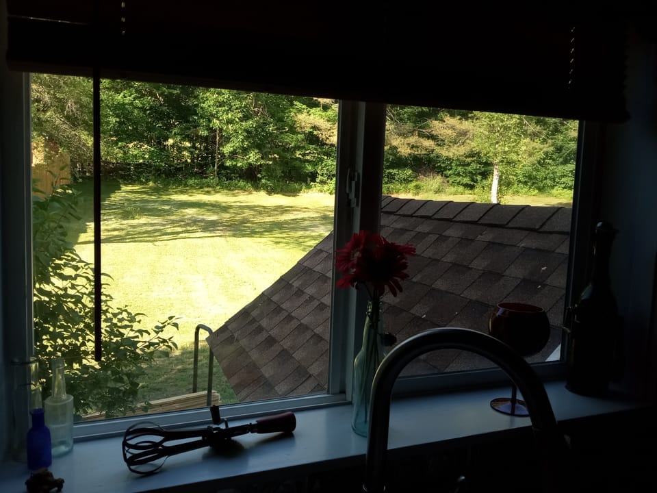 Lots of outdoor space in backyard