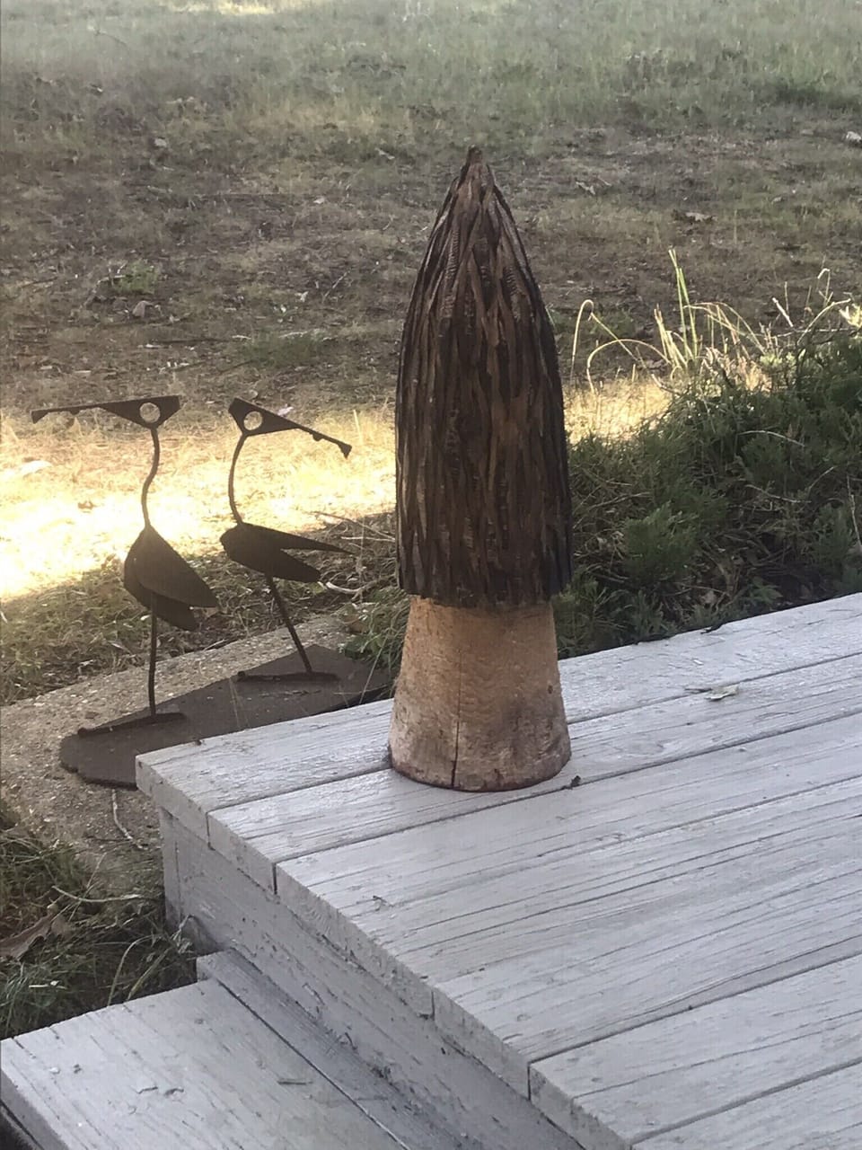 Mesick, called the Mushroom Capital of the Midwest. We have found morels in yard