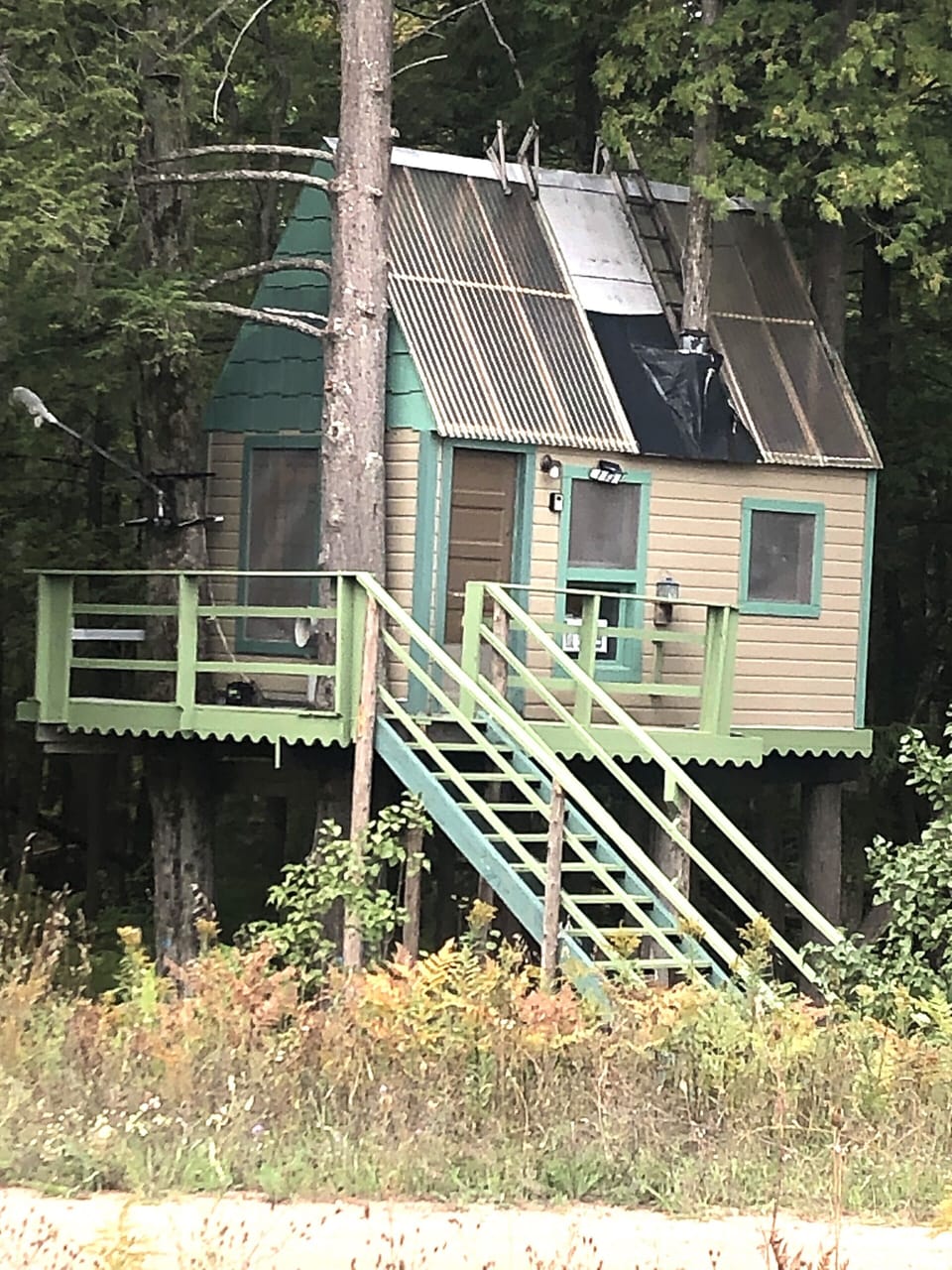 The Ripples Treehouse