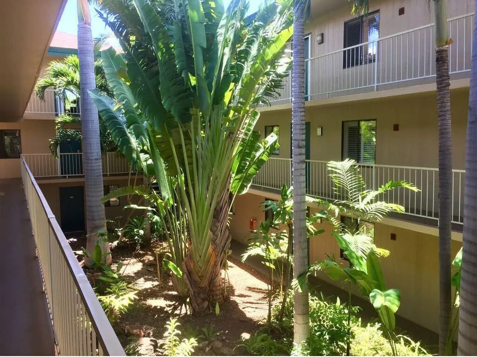 Courtyard view of building A, which is closest to the beach!