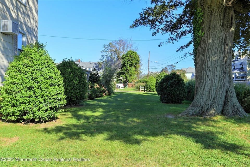 Large Yard