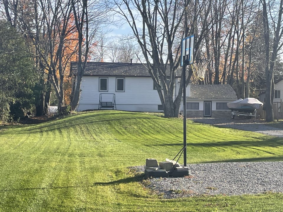 Basketball net and front yard 