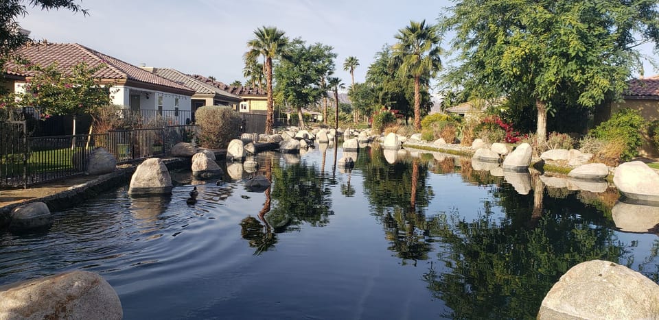 Pond behind pool