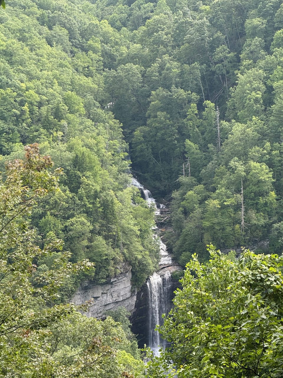 Raven Cliff Falls Overlook trail 