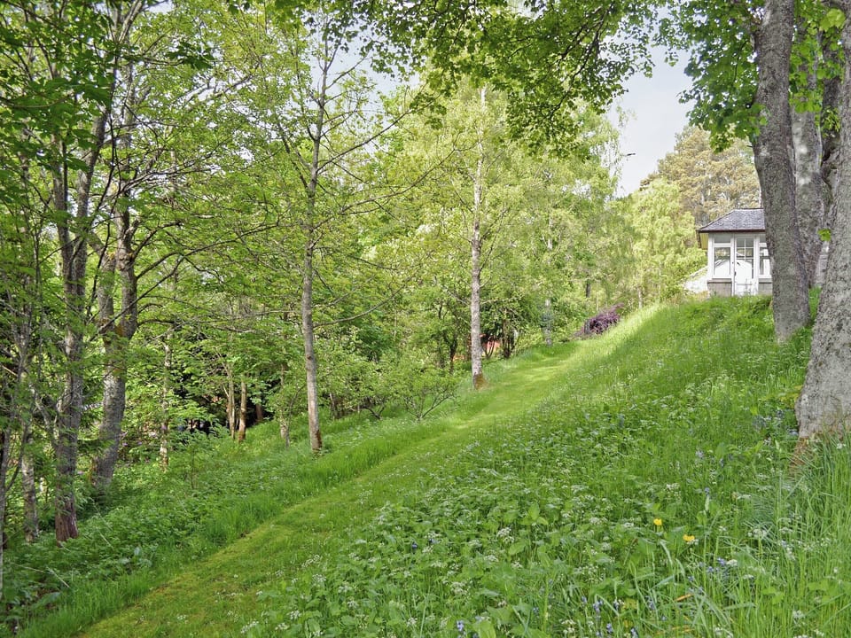 Garden | Treetops, Newtonmore