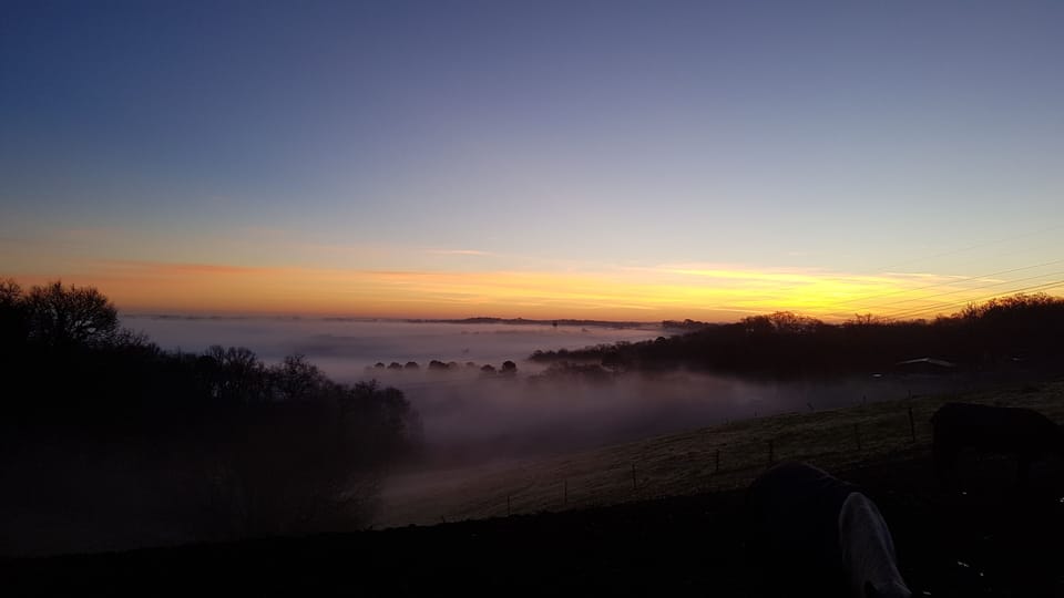 View from property