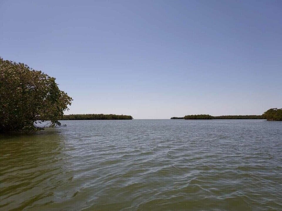 Lake