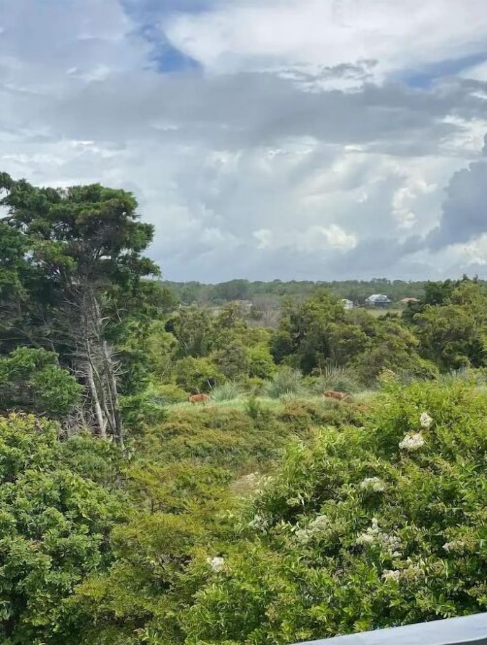 View from property