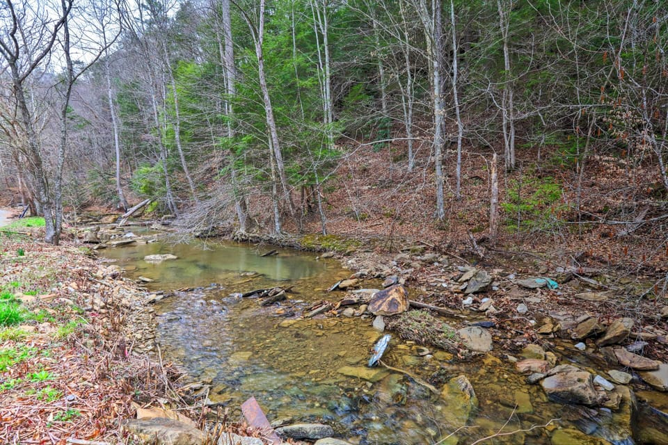 Creek Views