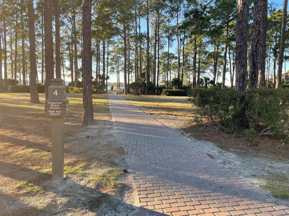 The beautiful paved beach path!