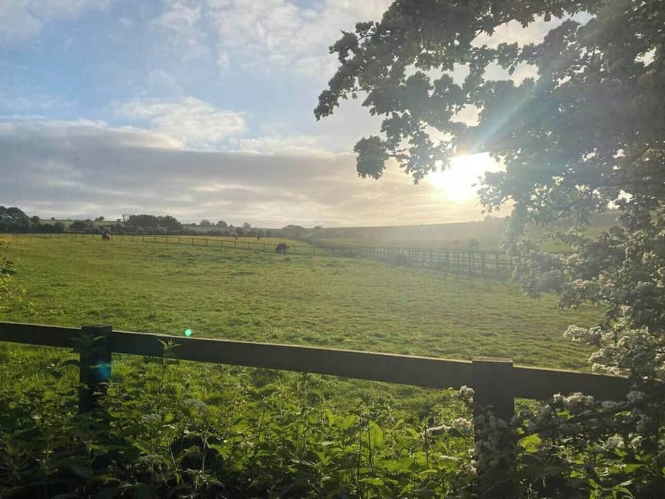 Findon Gallops, just after dawn.