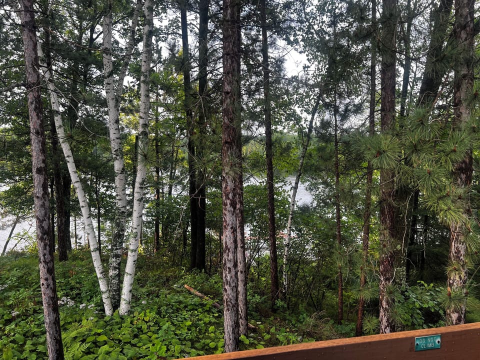 Balcony view