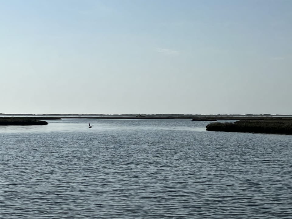Morning view of the bay. 