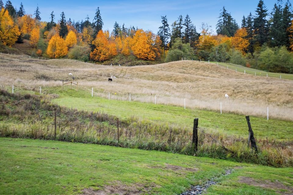 Pasture View from Covered Porch