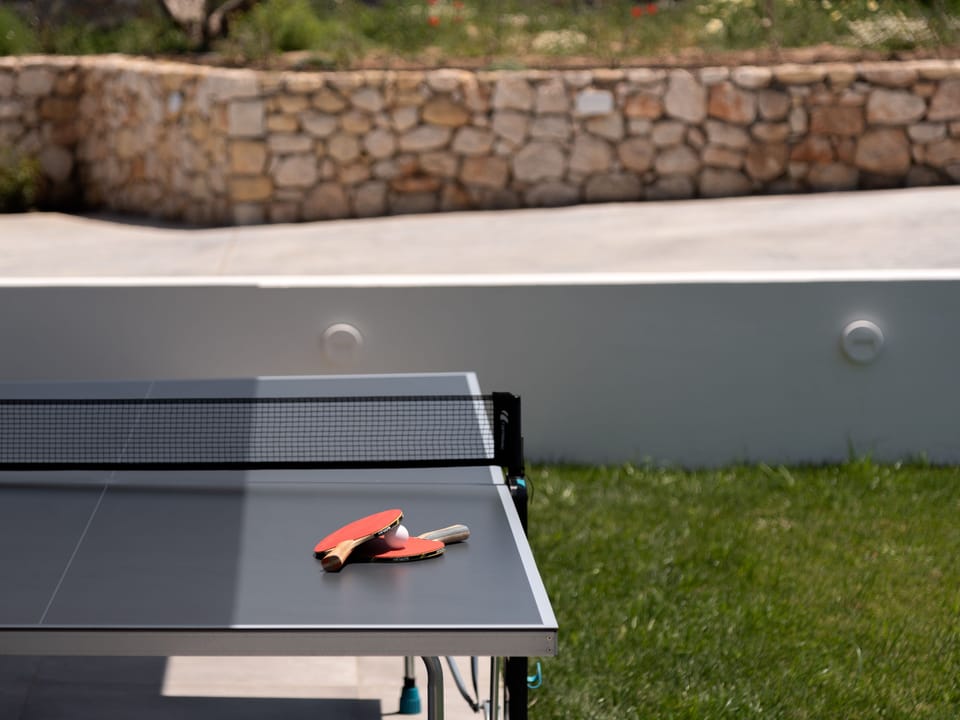 Ping-Pong table available