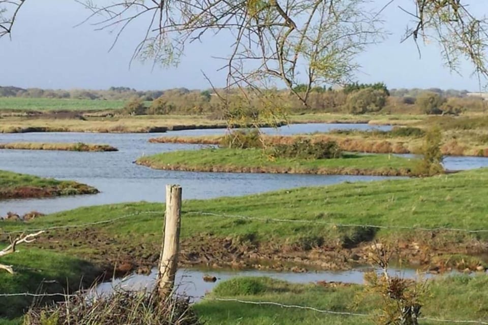 Surroundings [summer] (1-5 km)