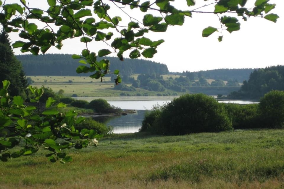 Region [summer] (>5 km)