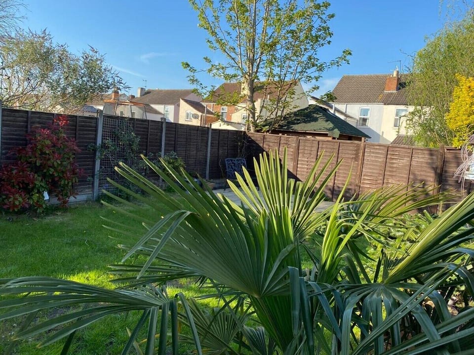 Wonderful Garden