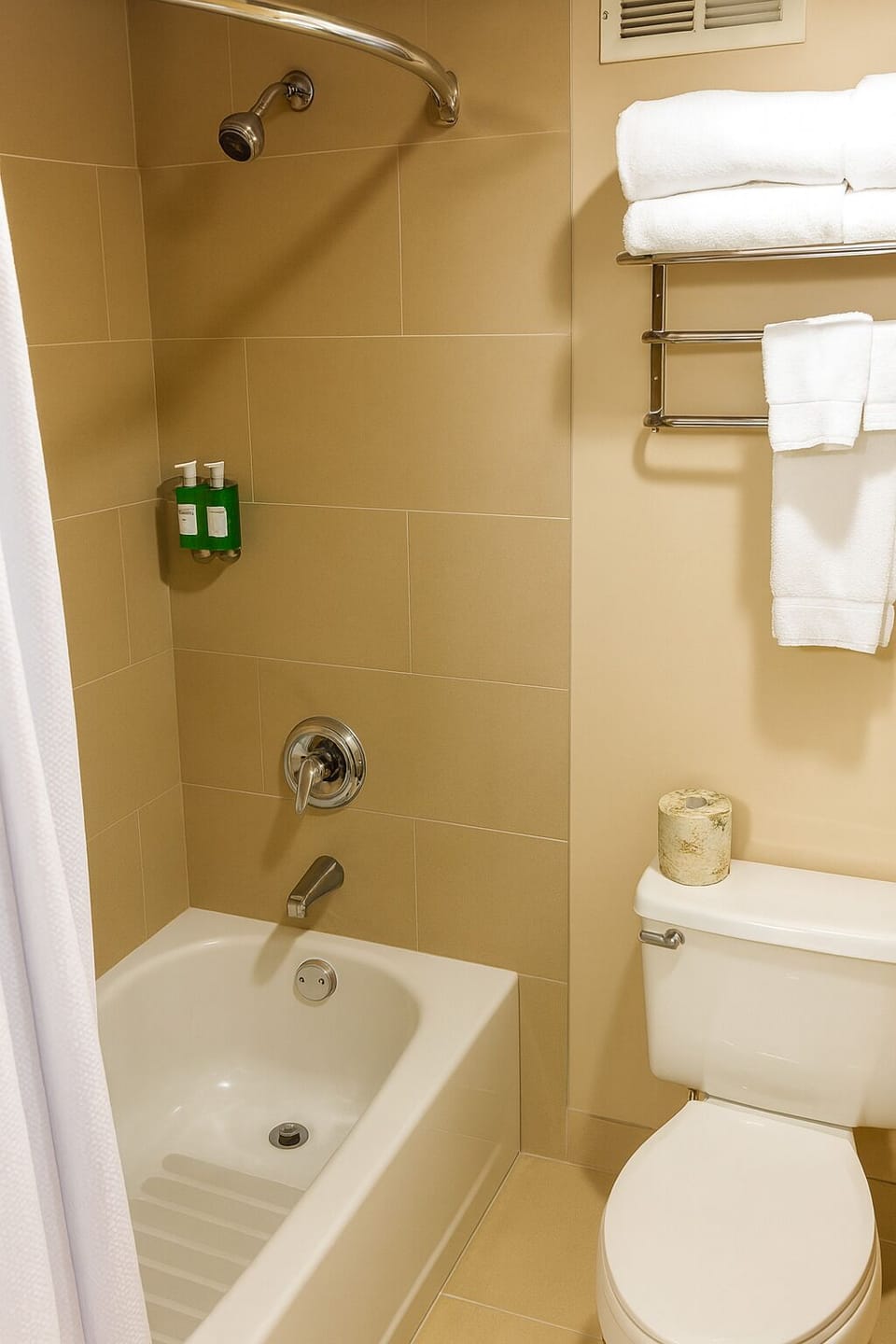 Bathroom with shower and tub. Basic toiletries and towels are provided
