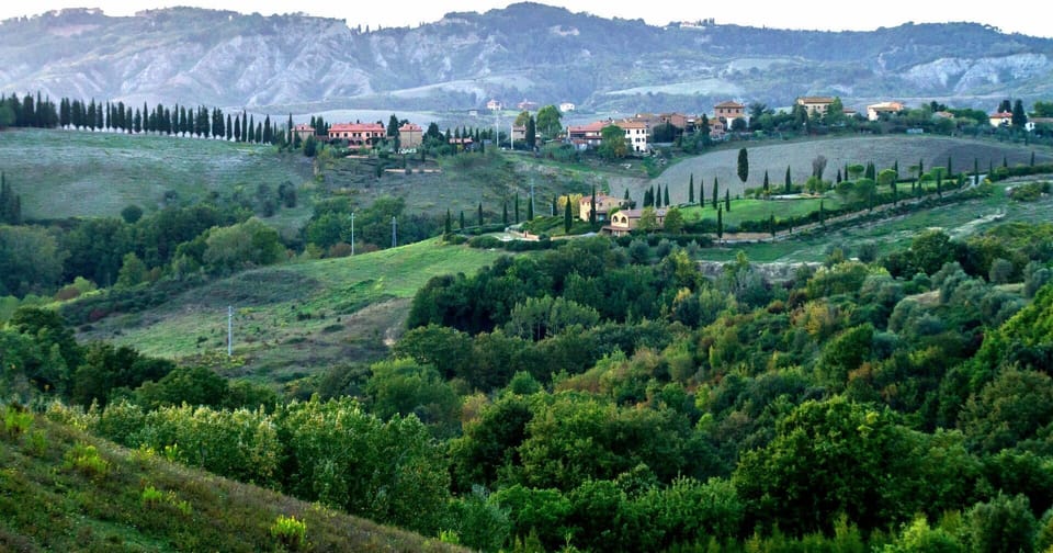 Scenic View