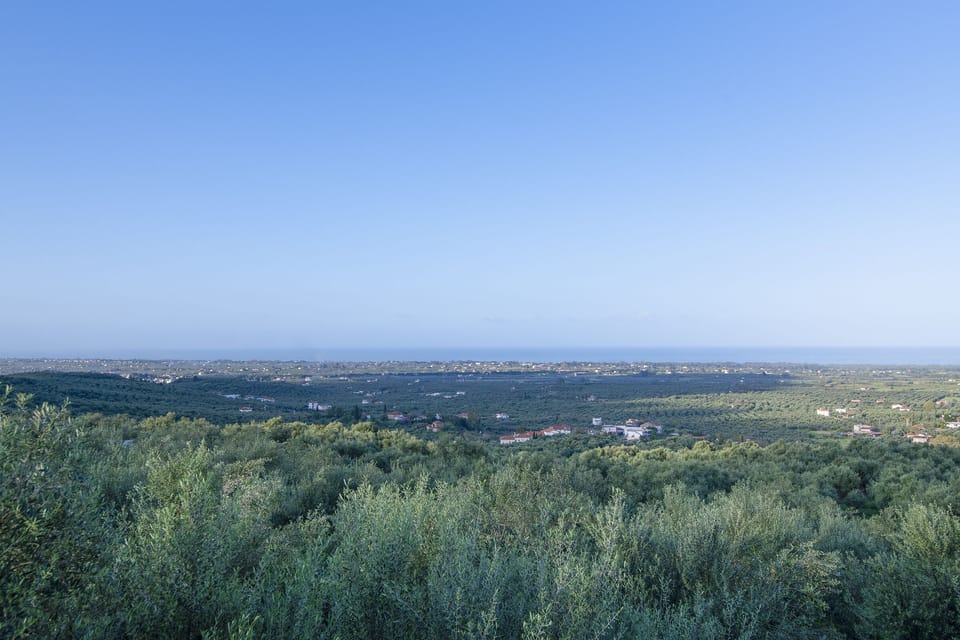 Amazing view from the property