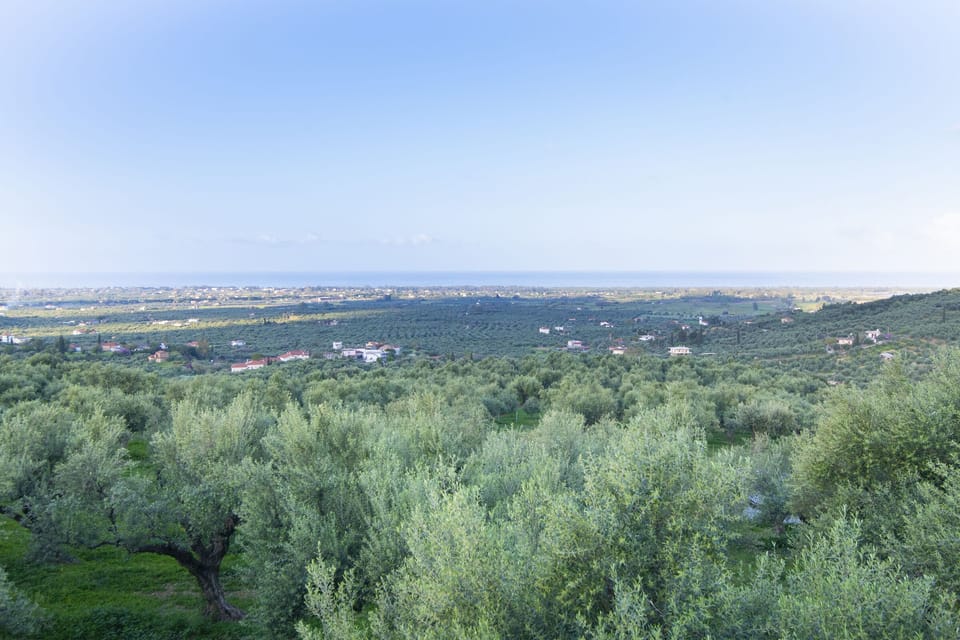 View from the property