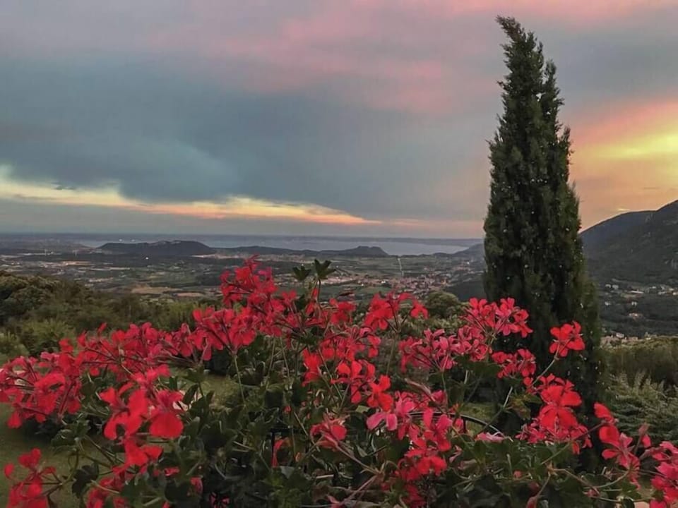 Vista panoramica (2)
