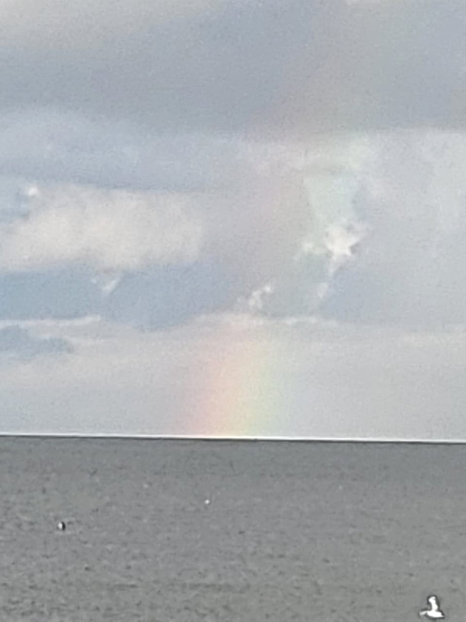 Rare rainbow over the Gulf
