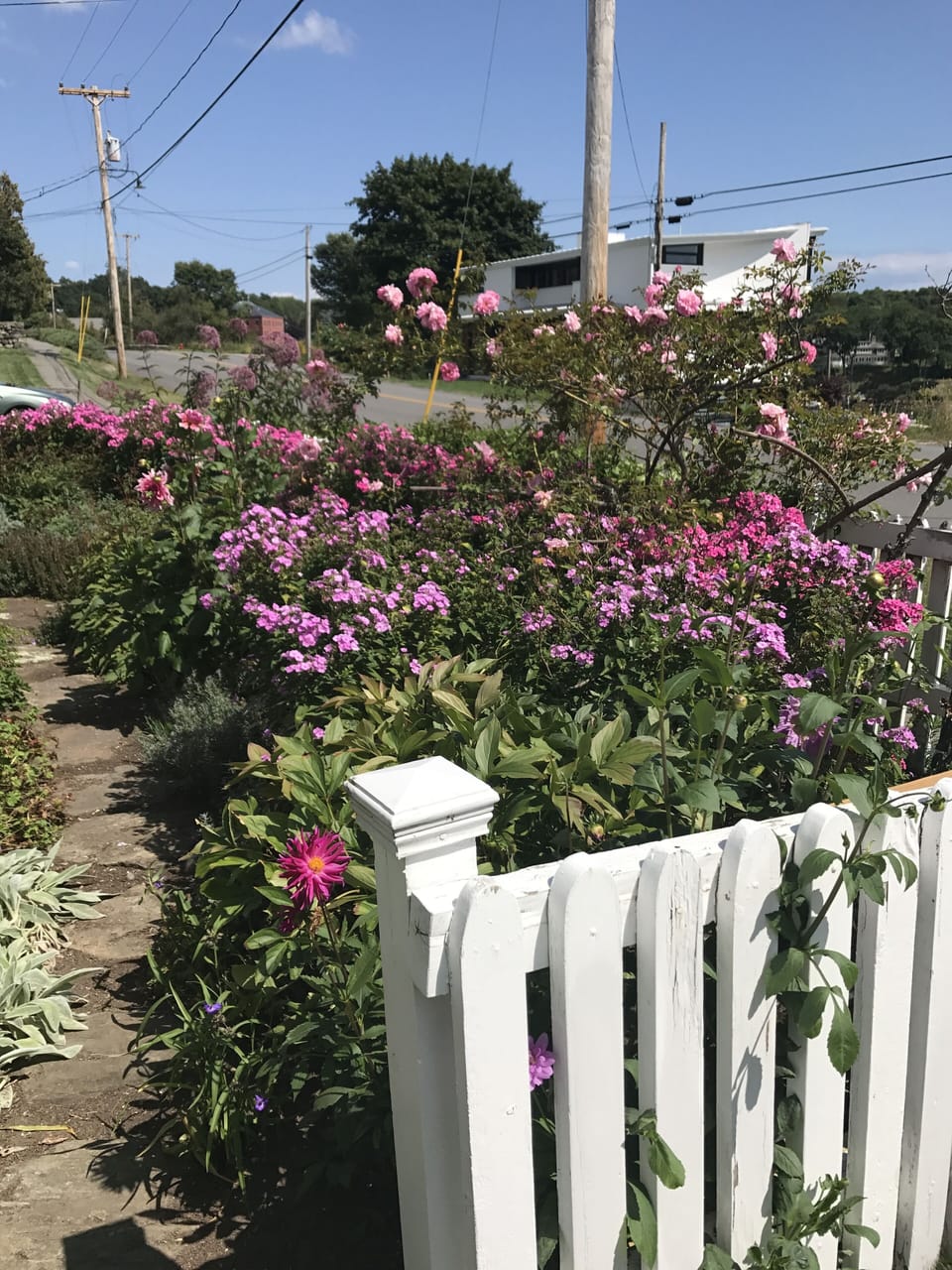 Front garden