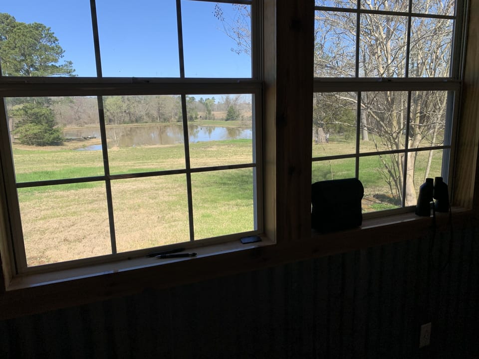Dining area view.
