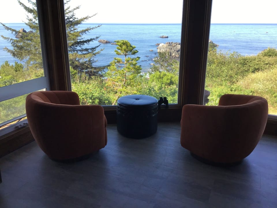 Spacious living room with amazing views. Whale watching possible