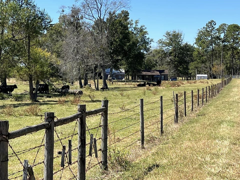 Rental is hidden from view out in the pasture.