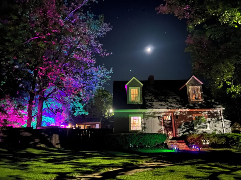 Winter wonderland awaits ! Everything is holiday modern farm Christmas decor