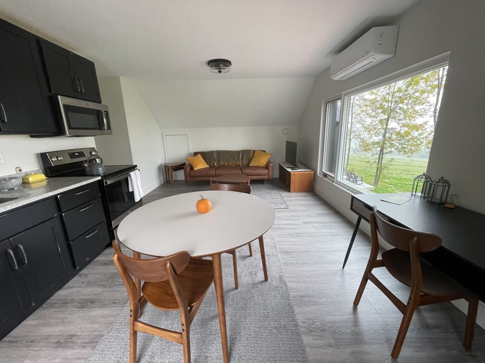 Open area kitchen, living area, office space with fast wifi.