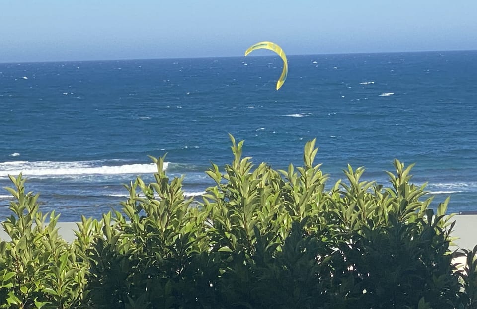 Actual view from the living room 
