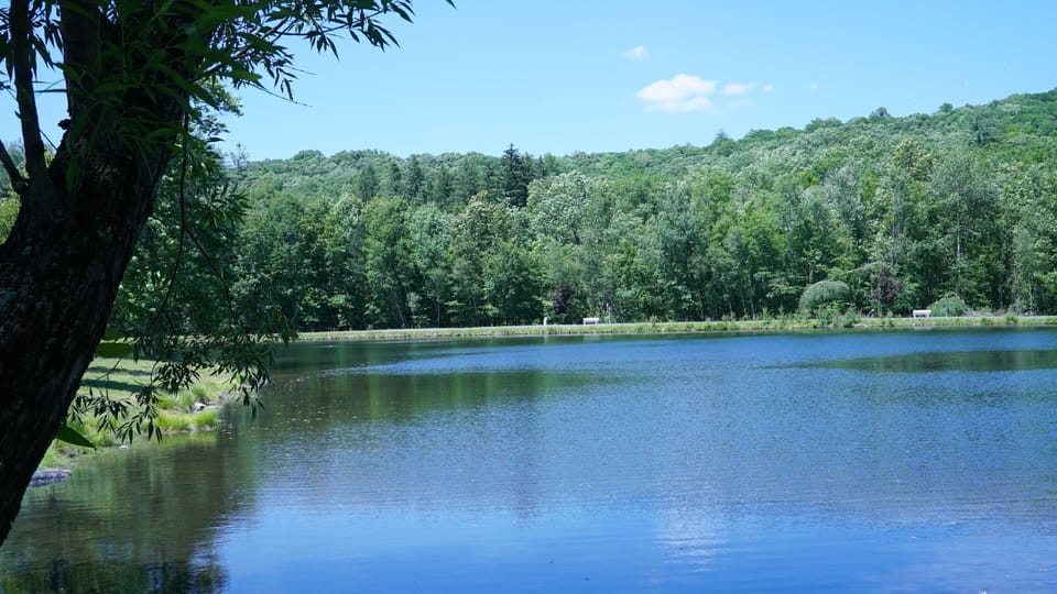 Lake