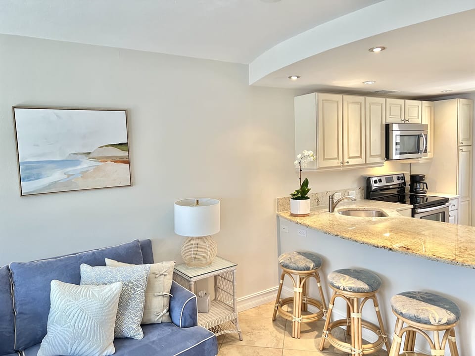 Living/Kitchen Area