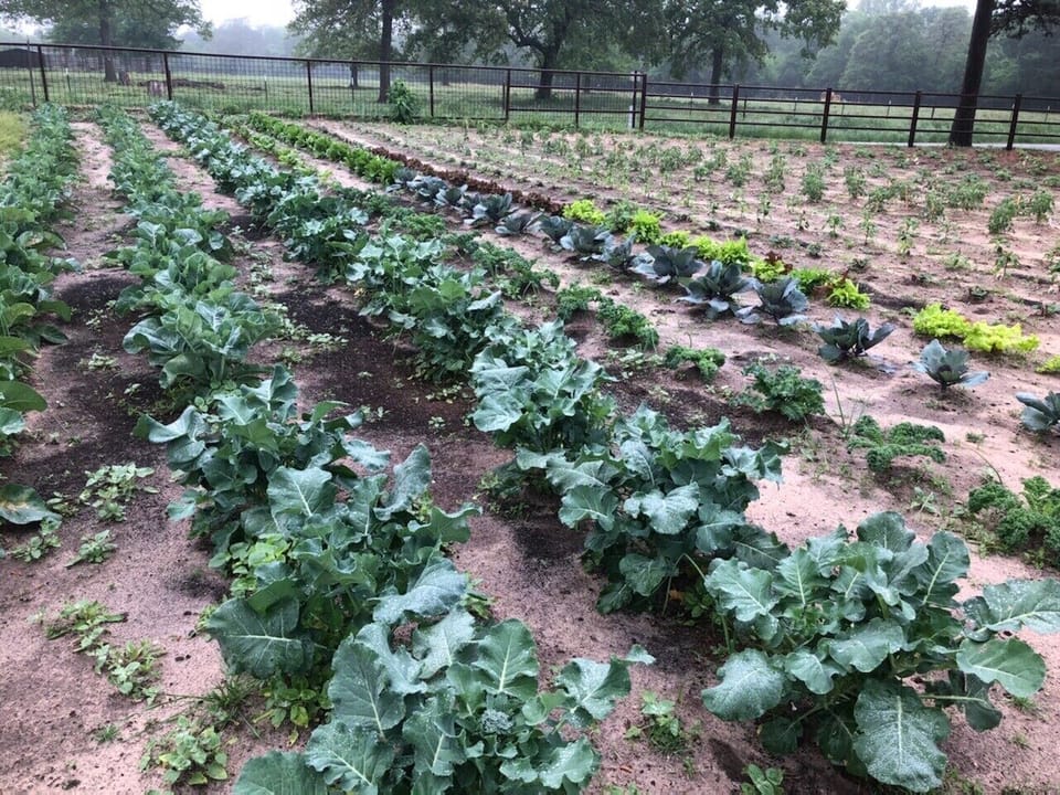 Farm To Table Recipes