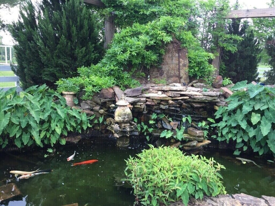 Rock Garden Koi Ponds