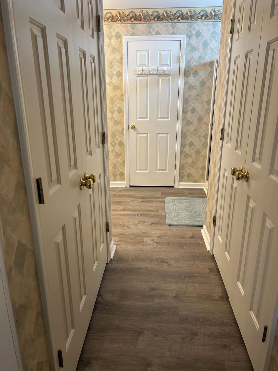 Hallway from Master Bedroom to Master Bath with 2 large closets