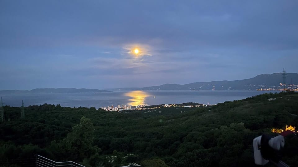 View from the window