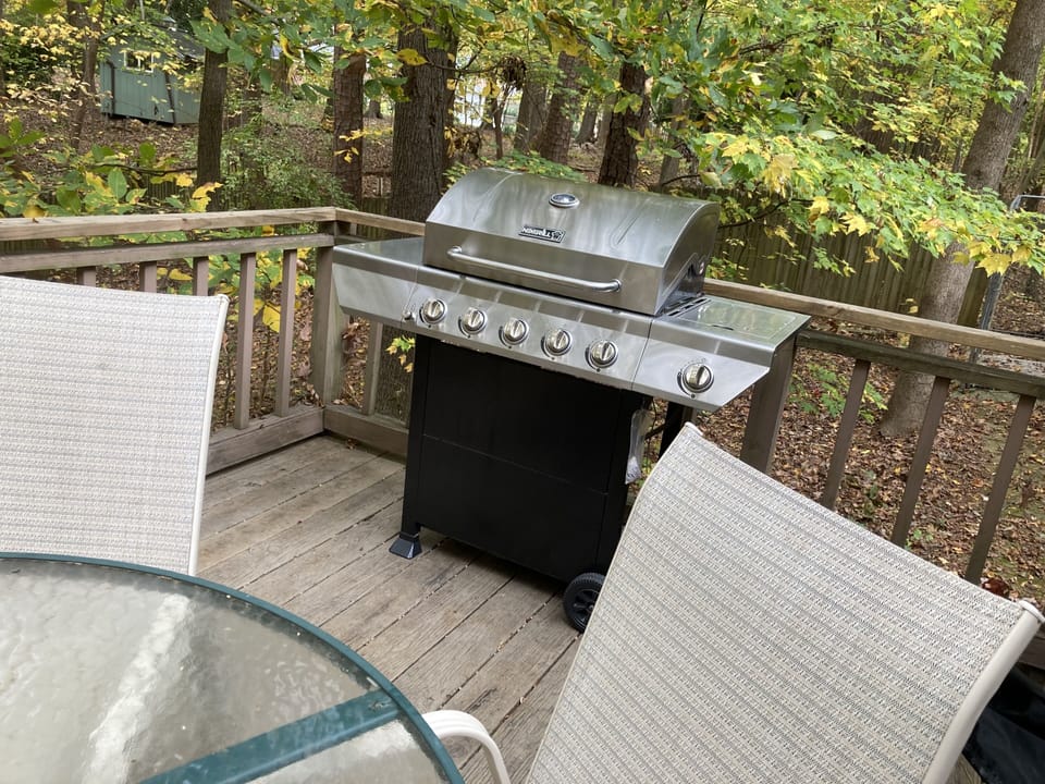 Gas grill 