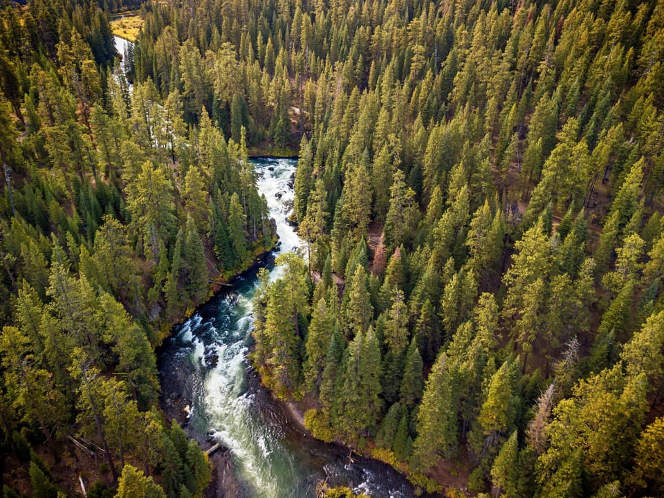 Deschutes National Forest