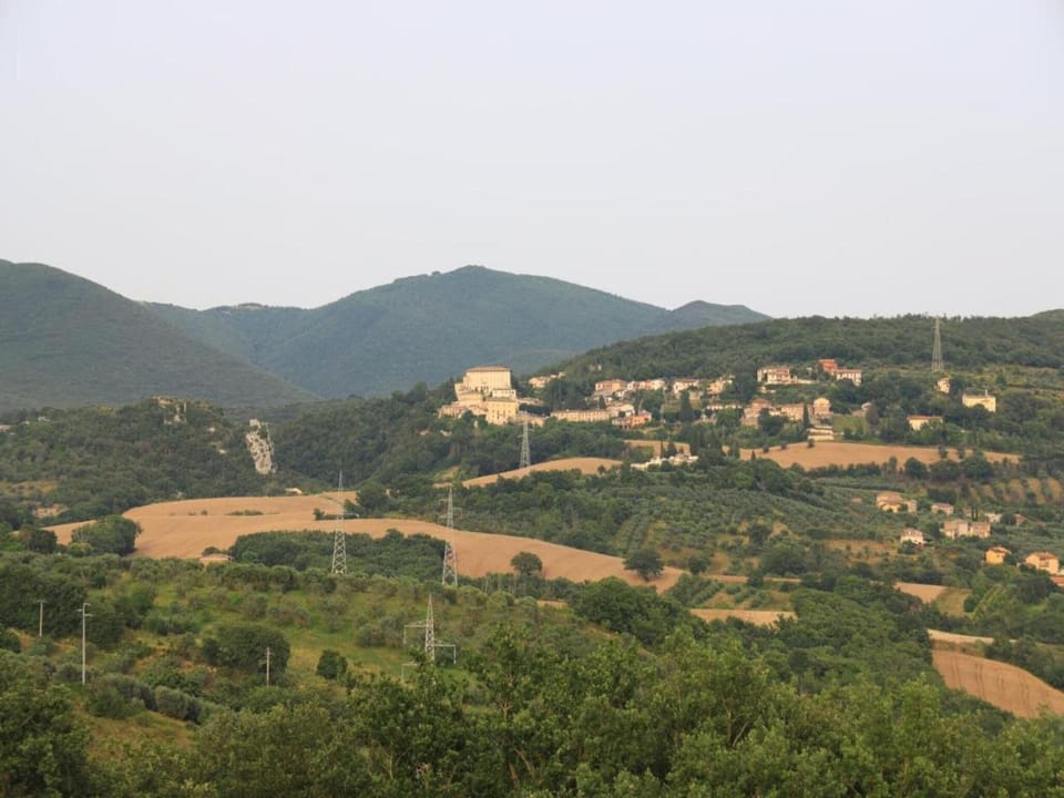 Region [summer] (>5 km)