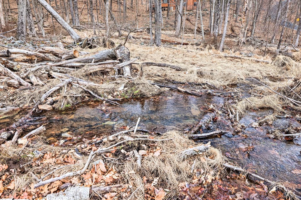 Nearby Creek